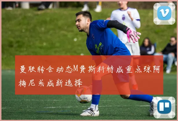 曼联转会动态M费斯科特成重点琼阿梅尼或成新选择