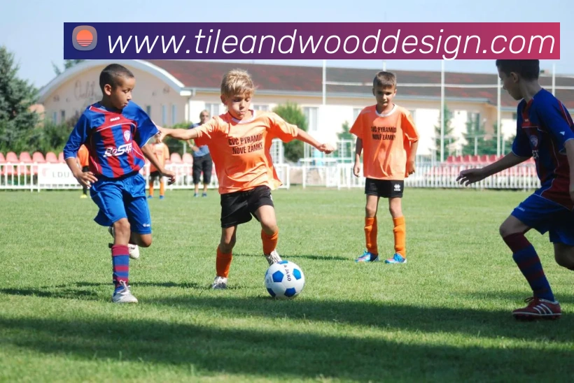 奖项证书